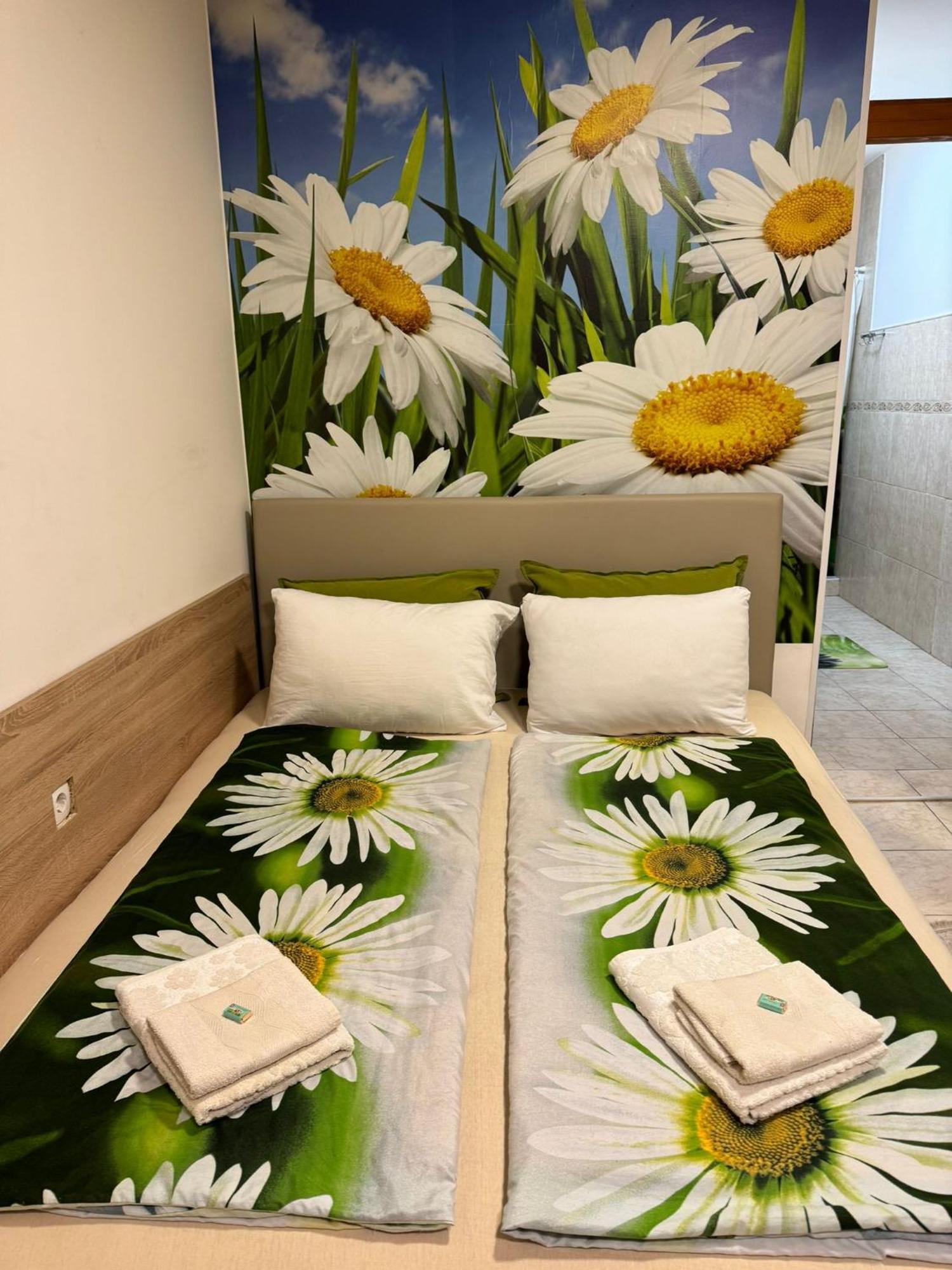 Nela Apartmani Ниш Экстерьер фото