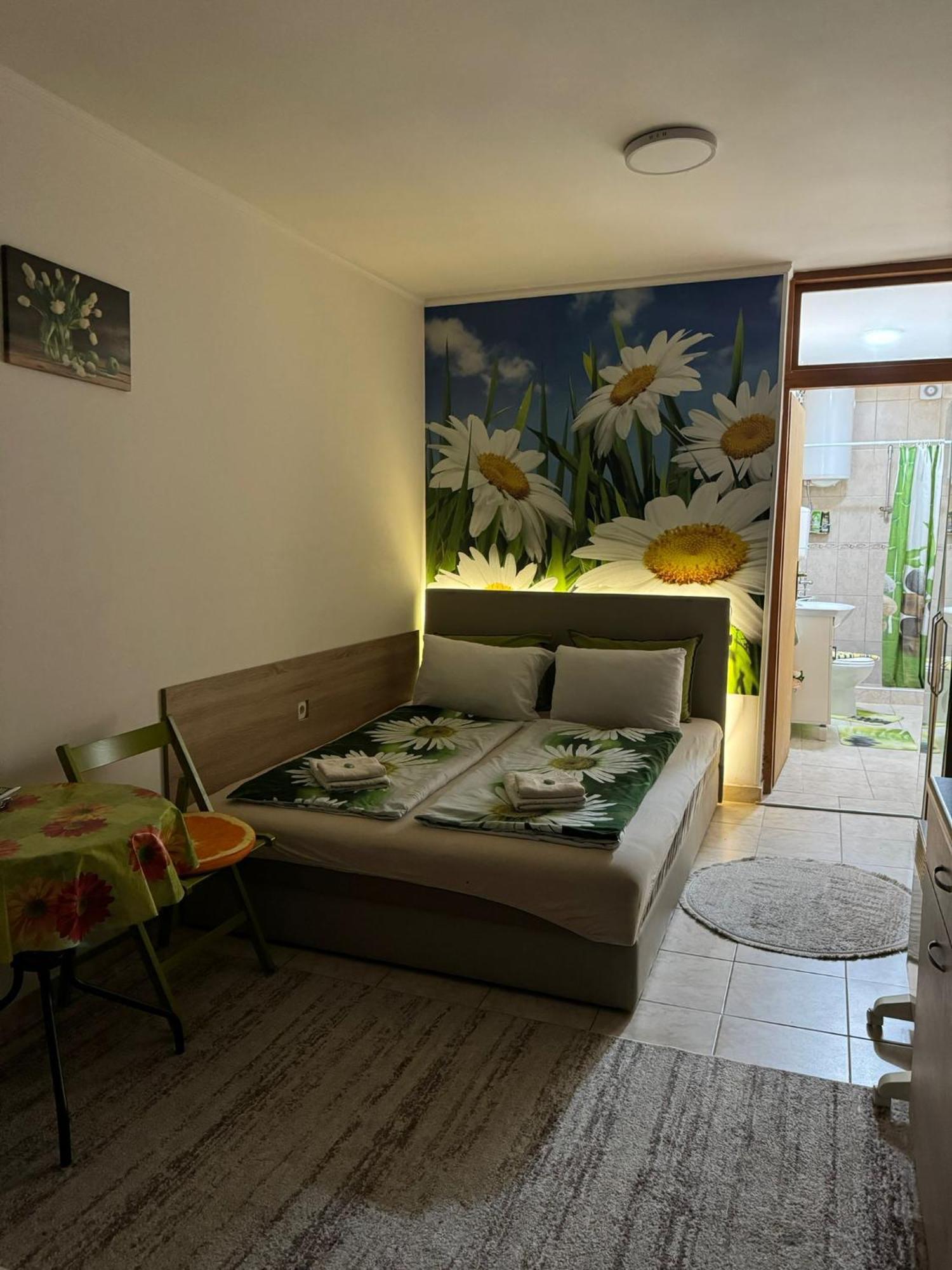 Nela Apartmani Ниш Экстерьер фото