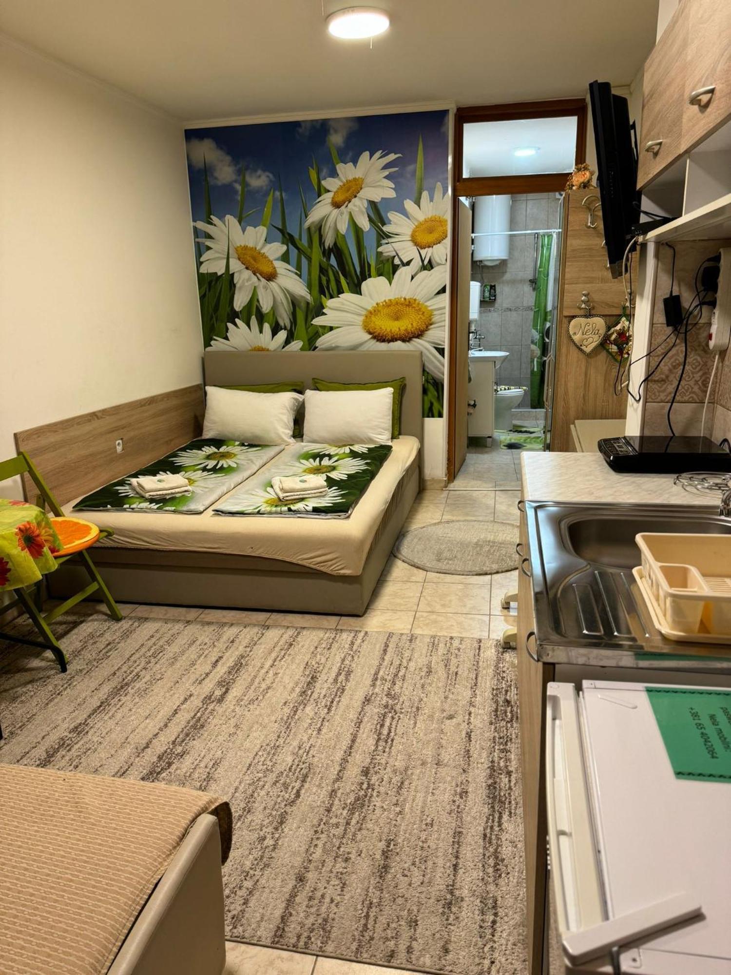 Nela Apartmani Ниш Экстерьер фото
