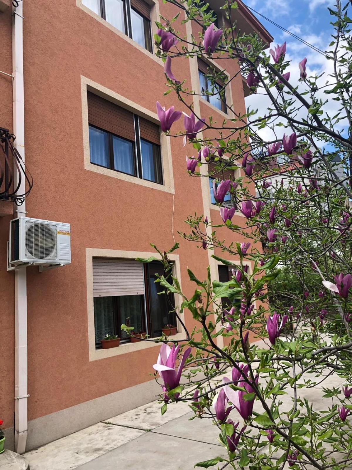 Nela Apartmani Ниш Экстерьер фото
